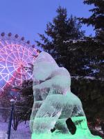 Ледовый городок (Россия, Новосибирск) фото