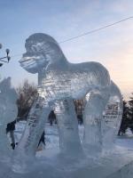 Ледовый городок (Россия, Новосибирск) фото