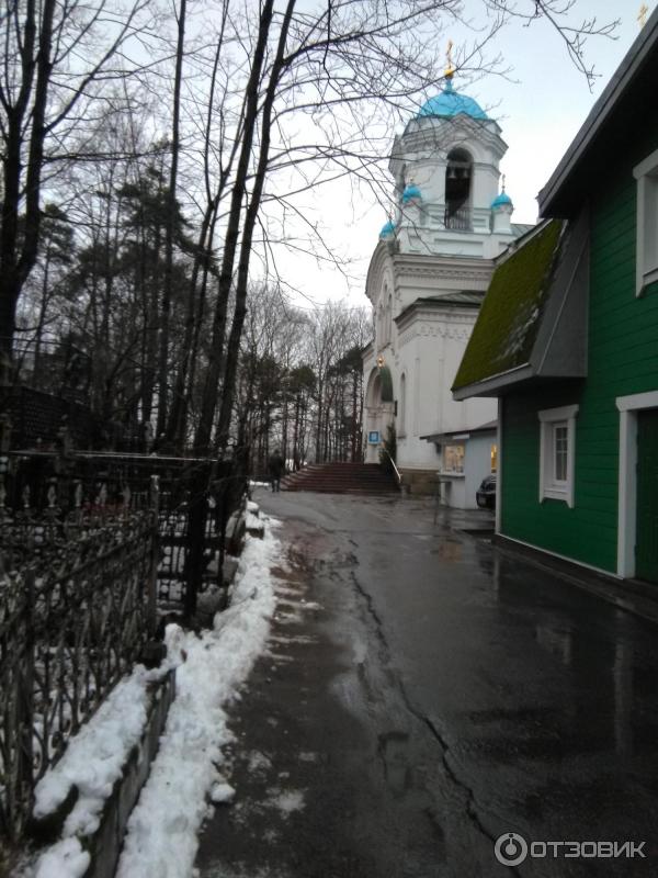 Суздальские озера (Россия, Санкт-Петербург) фото