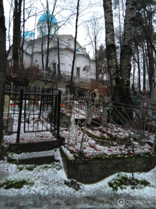 Суздальские озера (Россия, Санкт-Петербург) фото