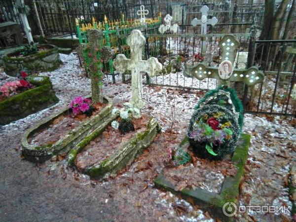 Суздальские озера (Россия, Санкт-Петербург) фото