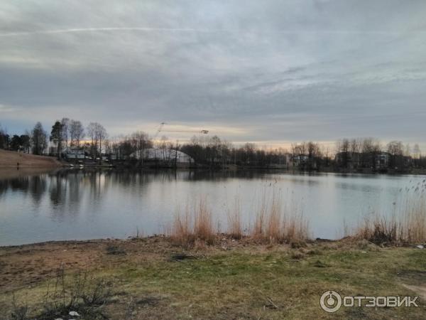 Суздальские озера (Россия, Санкт-Петербург) фото