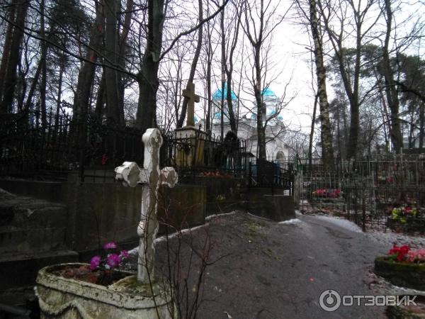 Суздальские озера (Россия, Санкт-Петербург) фото