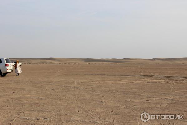 Экскурсия Джип-сафари (ОАЭ) фото