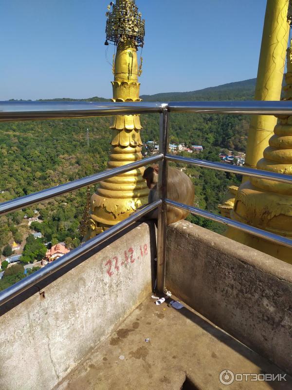 Экскурсия на гору Popa (Мьянма, Баган) фото