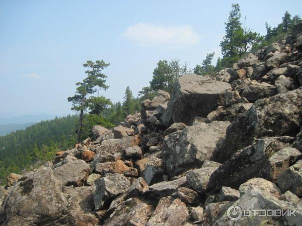 Национальный парк Шушенский бор (Россия, Красноярский край) фото