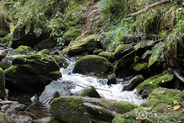 Национальный парк Шушенский бор (Россия, Красноярский край) фото