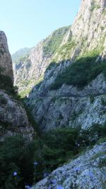 Экскурсия "Гранд Каньон" (Черногория) фото