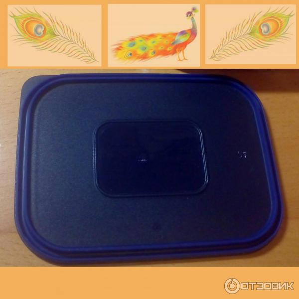 Набор контейнеров Tupperware Акваконтроль Москва фото