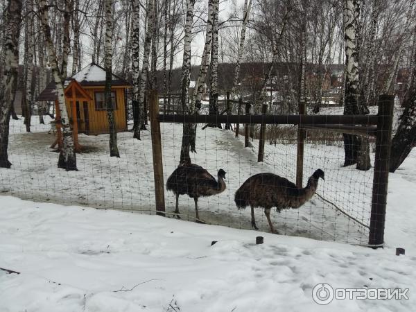 Парк-Отель Орловский (Россия, д. Богданиха) фото