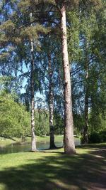 Гостиница Спутник 3* (Россия, Санкт-Петербург) фото