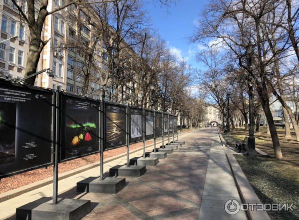 Прогулка по Бульварному кольцу (Россия, Москва) фото