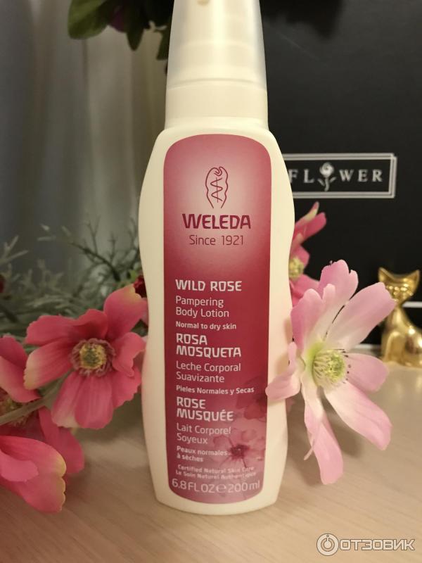 Молочко для тела Weleda Wild rose розовое гармонизирующее фото