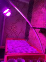 Светодиодная лампа Uniel LED для растений фото