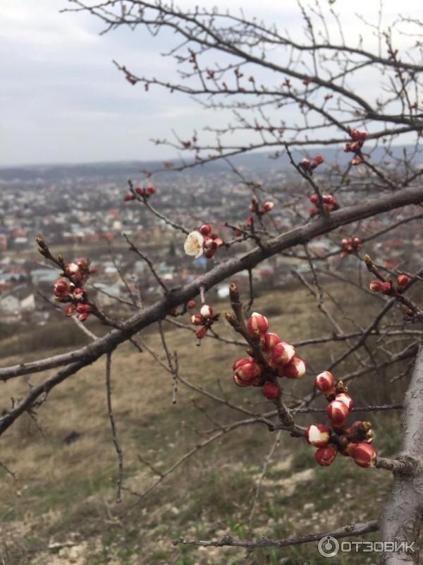 Экскурсия на гору Машук (Россия, Пятигорск)