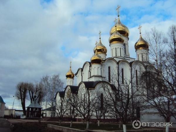 Гостевой дом Николин парк (Россия, Переславль-Залесский) фото