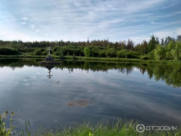 Экскурсия в Псковскую область (Россия, Псковская область) фото