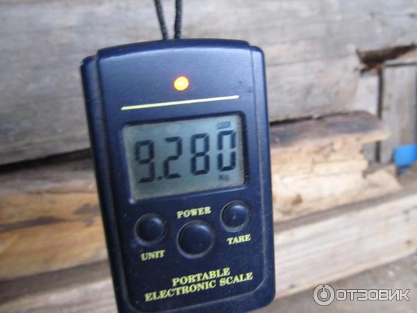 Пила электрическая цепная Парма М фото