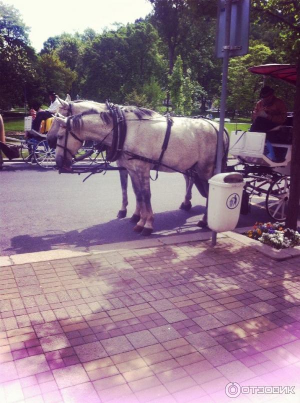 Отдых в Мариански Лазни (Чехия, Мариански Лазни) фото