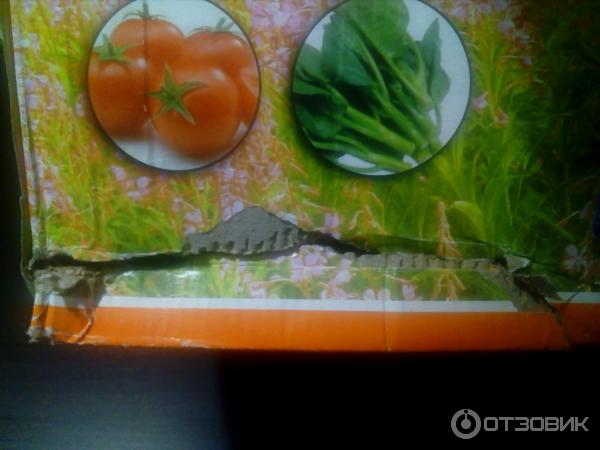 Опрыскиватель аккумуляторный ранцевый ZX-14E-06 Энергия фото