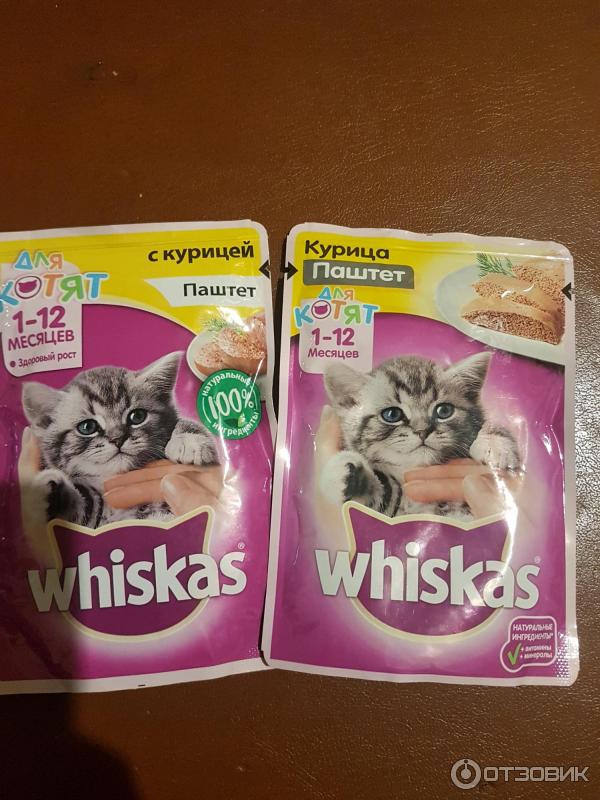 Корм для котят Whiskas Паштет с курицей фото