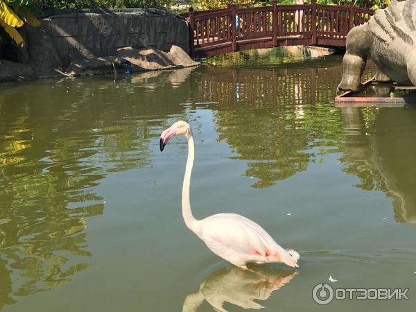Динопарк Discoveryland (Турция, Манавгат-Илича) фото