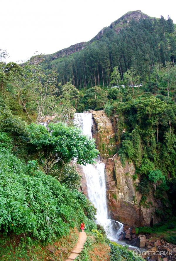 Отель Ramboda Falls 4* (Шри-Ланка, Нувара Элия) фото