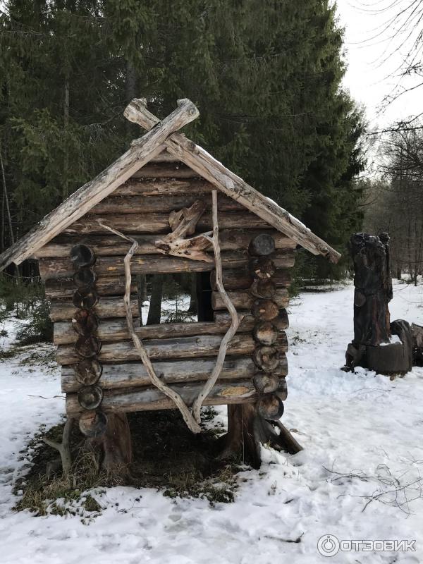 Дендрологический парк (Россия, Переславль-Залесский) фото