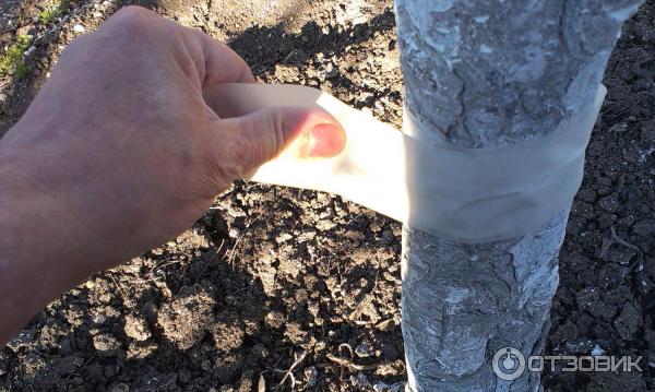 Клей от грызунов и насекомых Чистый дом фото