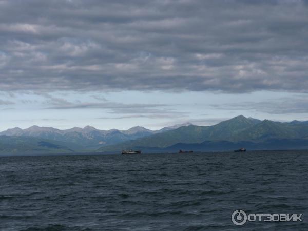 Морская прогулка по Авачинской бухте (Россия, Камчатка) фото