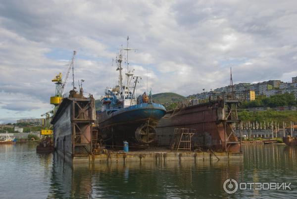 Морская прогулка по Авачинской бухте (Россия, Камчатка) фото