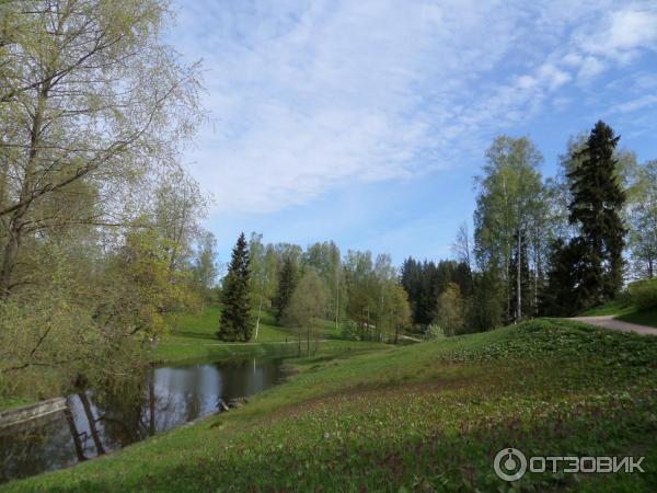 Павловский парк (Россия, Санкт-Петербург) фото