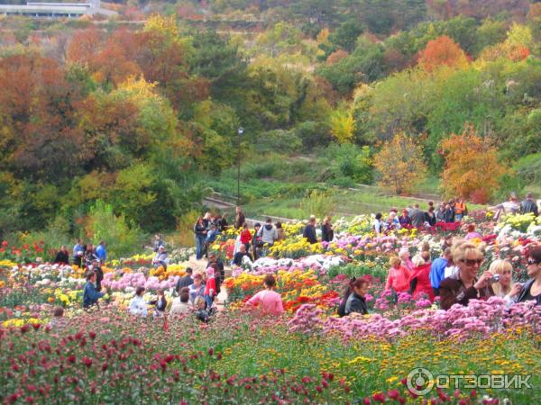 Никитский Ботанический сад (Крым, Ялта) фото