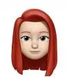 Dasha Try