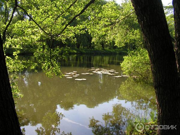 Водохранилище Дрозды (Беларусь, Минск) фото