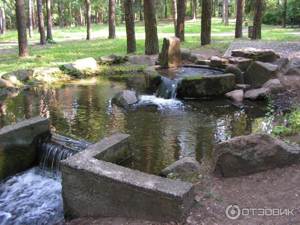 Водохранилище Дрозды (Беларусь, Минск) фото