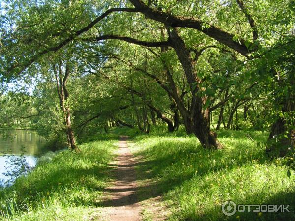 Водохранилище Дрозды (Беларусь, Минск) фото