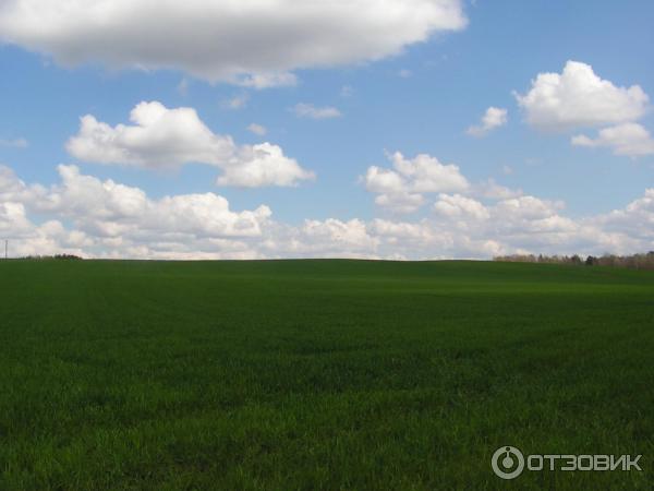 Водохранилище Дрозды (Беларусь, Минск) фото