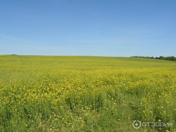 Водохранилище Дрозды (Беларусь, Минск) фото