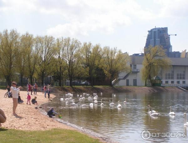 Водохранилище Дрозды (Беларусь, Минск) фото