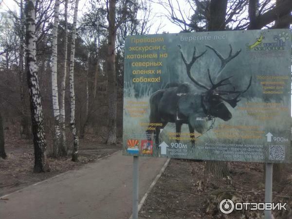 Рекламный щит в Томилинский лесопарк (Россия, Московская область)