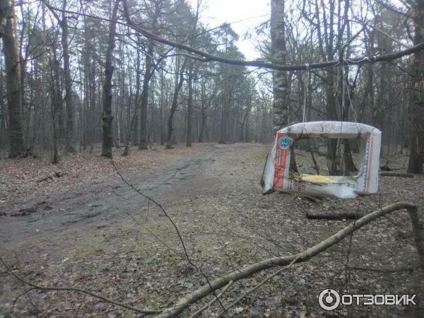 Первая кормушка для птиц в Томилинский лесопарк (Россия, Московская область)