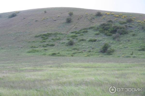 Природный парк Щербаковский (Россия, Волгоградская область) фото