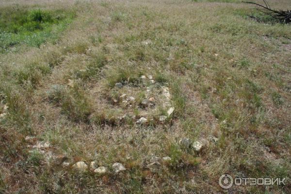 Природный парк Щербаковский (Россия, Волгоградская область) фото