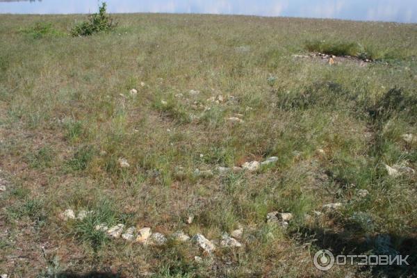 Природный парк Щербаковский (Россия, Волгоградская область) фото