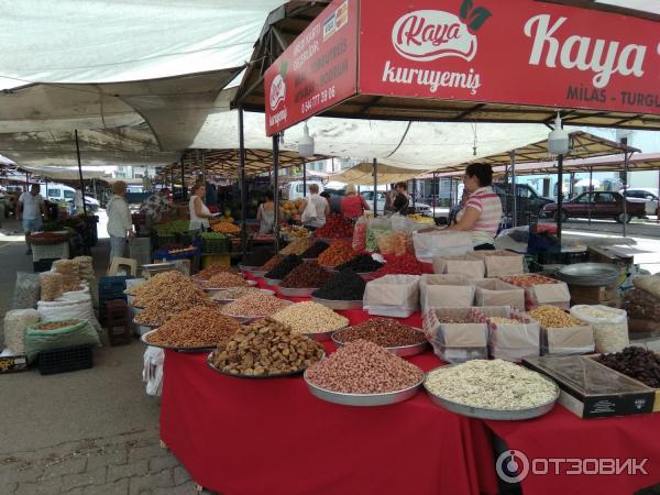 Отдых на курорте Бодрум (Турция) фото