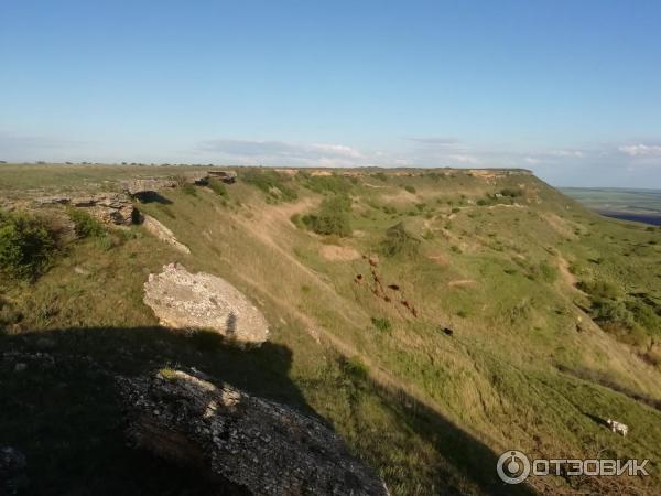 Гора Сейна (Россия, ст. Темнолесская, Ставропольский край)