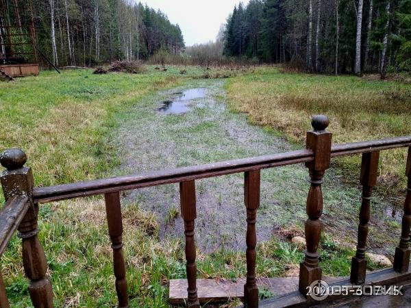Экскурсия к истоку Днепра (Россия, Смоленская область) фото