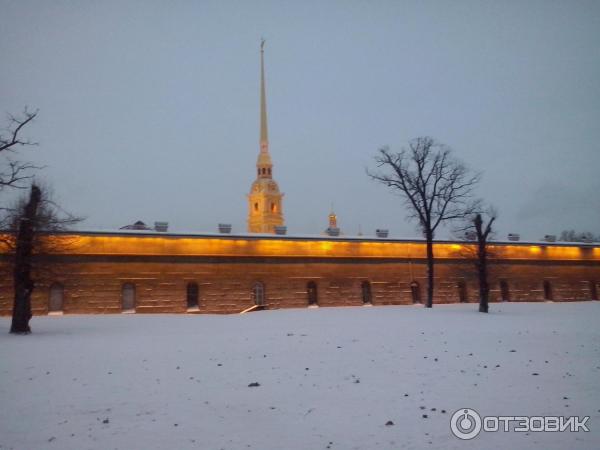 Петропавловский собор (Россия, Санкт-Петербург) фото