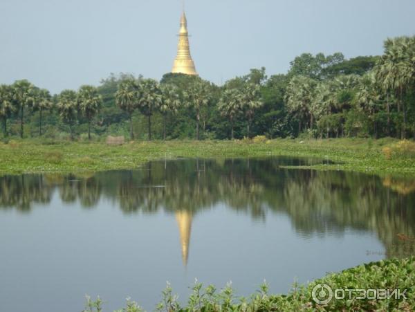 Пагода Shwedagon (Мьянма, Янгон) фото